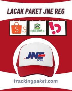 Lacak Paket JNE REG Shopee, Tokopedia dan Bukalapak dengan Cepat