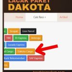 Bagaimana Cara Lacak Paket Dakota yang Simple dan Cepat?