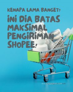 Kenapa Lama Banget? Ini Dia Batas Maksimal Pengiriman Shopee!
