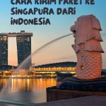 Biar Nggak Ribet, Begini Cara Kirim Paket ke Singapura dari Indonesia!