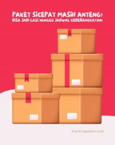 Paket SiCepat Masih Anteng? Bisa Jadi Lagi Nunggu Jadwal Keberangkatan!